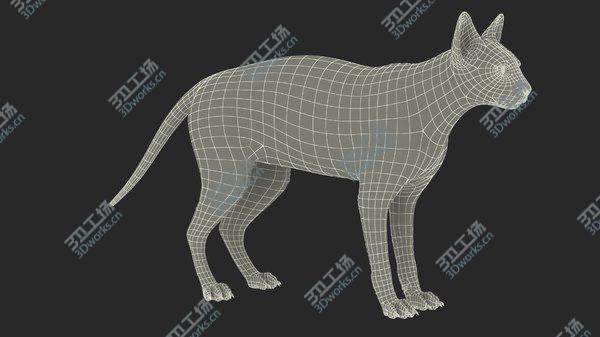 images/goods_img/20210312/3D Sphynx Cat with Heterochromia Rigged/4.jpg